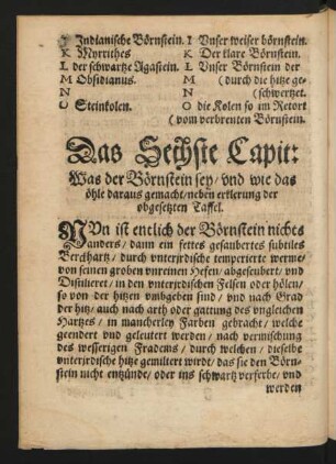 Das Sechste Capit: Was der Börnstein sey ...