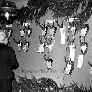 Kreisjägerschaft Stormarn e.V.: Rohlfshagen/Kupfermühle: Gastwirtschaft "Kupfermühle": Saal: Mitgliederversammlung: Ausstellungstafel mit Auswahl von Jagdtrophäen aus den Hegeringen: links Mann bei der Besichtigung