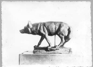 Türkischer Wolf. Tonmodell (1934/1940; E. Richter). Dresden-Südvorstadt, Eisenstuckstraße, Atelier der Bildhauerin