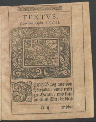 Textus, Geneseos capite XXVIII.