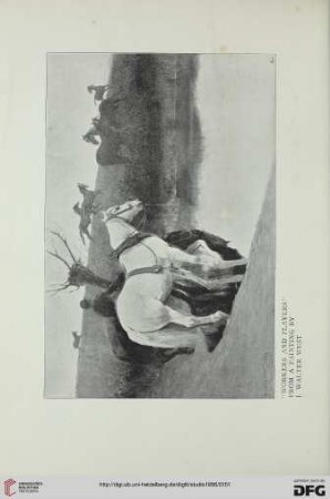 6: On the work of J. Walter West