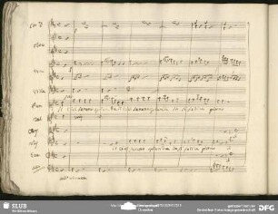 Quintetto: "Il ciel sereno splenda"