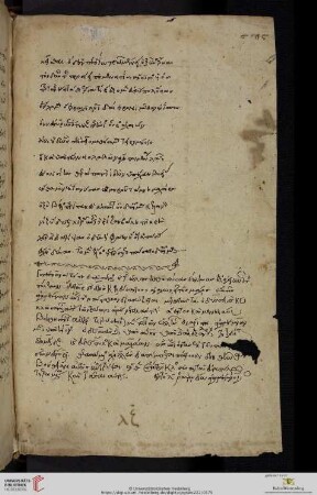 Anonymus, Scholia classis D in librum 11 Iliados (usque ad 11,354)