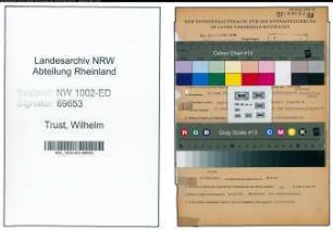 Entnazifizierung Wilhelm Trust, geb. 19.06.1900 (Lehrer)