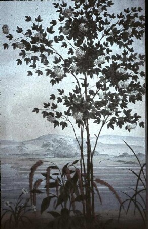 Seelandschaft