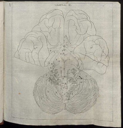 Tabula. II.