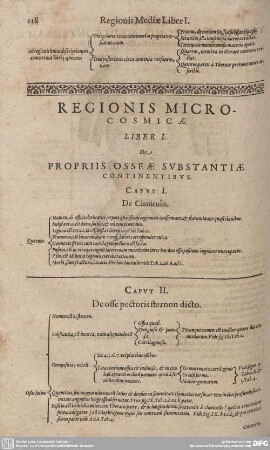 Regionis Microcosmicae.