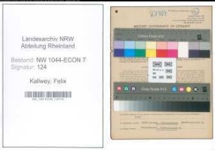 Entnazifizierung Felix Kallwey , geb. 23.03.1902 (Maschinenarbeiter)