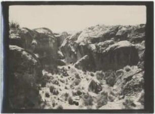 Lager westlich von Curahuara de Carangas