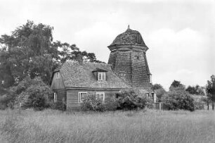 Wieck a. Darß. Holländermühle, Ansichtskarte