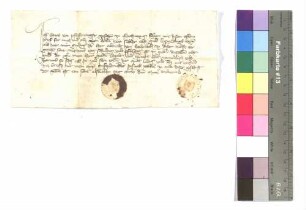 Hans von Pfaffenangst gegenüber Graf Ulrich von Hohenlohe: Leistung; angehängtes Siegel.
