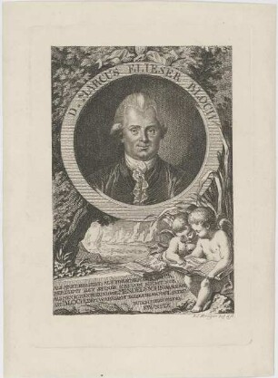 Bildnis des Marcus Eliser Bloch