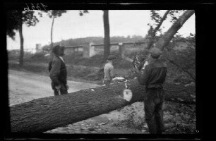 Mons (Belgien): 3 Einheimische neben einem liegenden Baum ("Umsägen eines Baumes"), im Hintergrund ein oberirdisches Kanalrohr