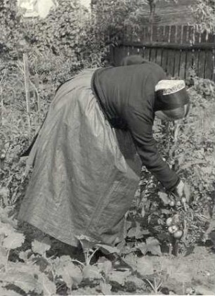 Alltagstracht aus Seidewinkel : Kleidung - Hoyerswerdaer Tracht. Ort: Židźino / Seidewinkel. Hoyerswerdaer Alltagstracht (bessere Tracht)