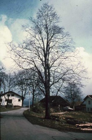Fotografie: Landbewirtschaftung, Siedlungswesen, Betriebsgebäude