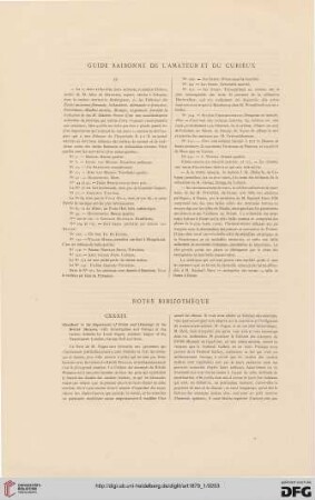 Guide raisonné de l'amateur et du curieux