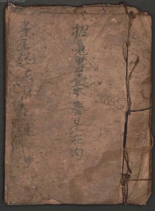 Zhao hun shu (yi ben) zou xing (zai nei) - BSB Cod.sin. 382