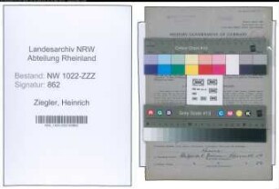 Entnazifizierung Heinrich Ziegler , geb. 04.02.1902 (Maler)