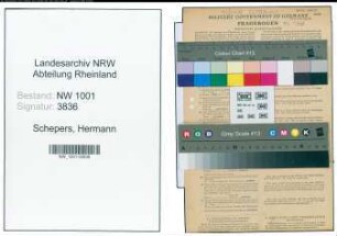 Entnazifizierung Hermann Schepers, geb. 24.10.1905 (Angestellter)
