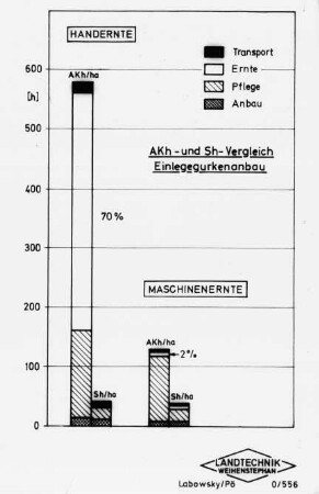 AKh- und Sh-Vergleich Einlegegurkenanbau