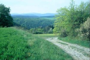 Feldweg mit blühenden Schlehenhecken, Blick zum Thüringer Wald
