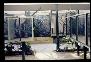 Zoo Neues Vogelhaus 2.3.63.