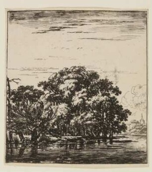 Wald auf einer Landenge