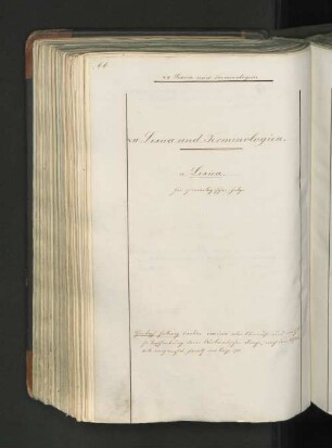 VII. Lexica und Terminologien.