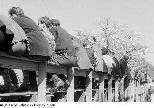 Rückenansicht von Zuschauern beim 6. Leipziger Stadtparkrennen