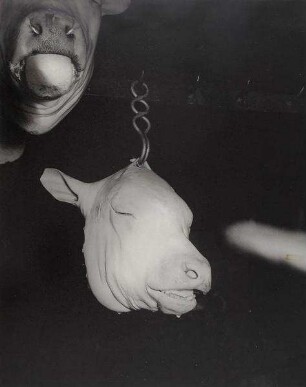 "Ils se moquent d'eux ou de nous?", aus der Schlachthof-Serie