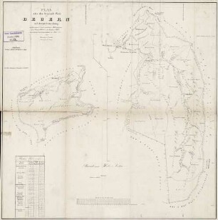 Plan über den Gemeinde-Wald von Beuren auf dortiger Gemarkung