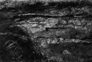 Gneis : Nach dem Mkushifluss benannter Mkushigneis mit Feldspateinlagerungen.