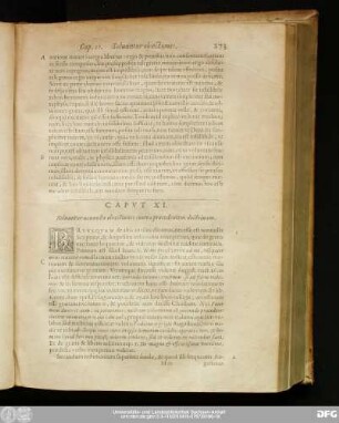 Caput XI. Solvuntur nonullae obiectiones contra praecedentem doctrinam.