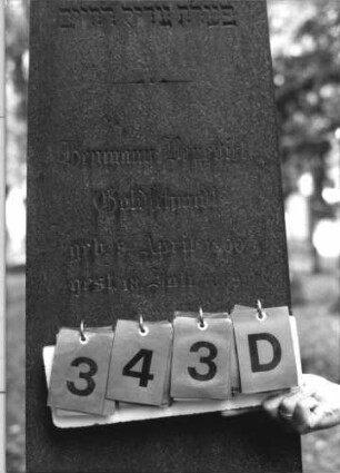 Grabstein 343 [Hahn S. 77 Grab-Nr. 265]: Grabstein 343 D [Hahn S. 77 Grab-Nr. 265]