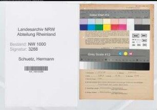 Entnazifizierung Hermann Schuetz, geb. 28.10.1886 (Prediger)