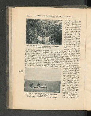 Abb. 102. Zweiter Jagdausflug in der Massaisteppe. Zwei erlegte Gnus. Typisch ist hier die unendlich weite baumlose Steppe.