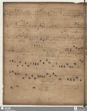 Anonymus: Salve regina