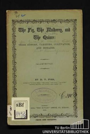 2: The fig, the mulberry, and the quince
