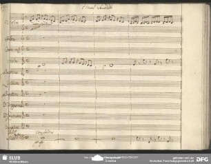 Finale II: "Piano pian pochitto a poco"
