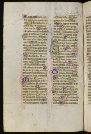 Canticum Mariae virginis