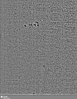 Lilienschild + IESV / LW = S.33/36
