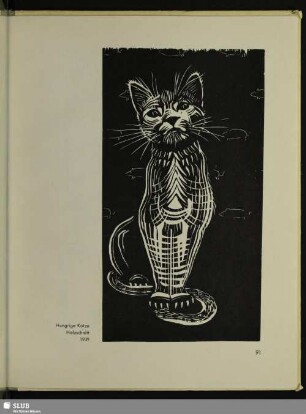 Hungrige Katze
