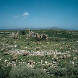 Kreta, Aptera. Römisches Ruinengelände auf dem Plateau
