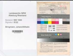 Entnazifizierung JohannWilhelm Bringmann, geb. 20.06.1904 (Steuerinspektor)