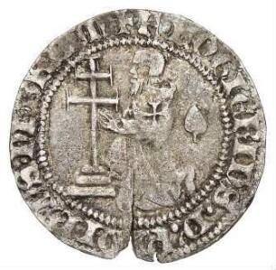 Johanniter: Roger von Pins