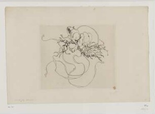 Rose, Blatt 43 der Folge "Service Bracquemond à fleurs et rubans"