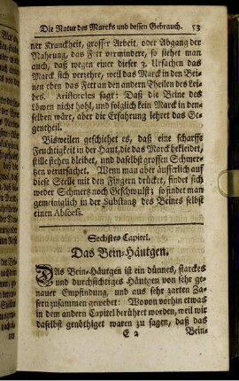 Sechstes Capitel. Das Bein-Häutgen.