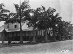 Villa : Villa hinter einer Palmenallee
