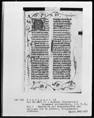 Missale (Winterteil) — Initiale A(d te levavi) mit anschließender Ranke als Bordüre, Folio 7recto