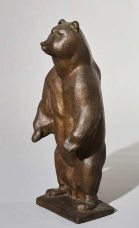 Kodiakbär
